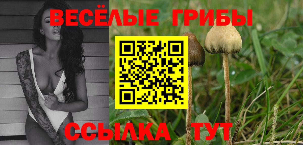 Псилоцибиновые грибы GOLDEN TEACHER  Псилоцибиновые грибы Psilocybe  Кропоткин  Вход с VPN 